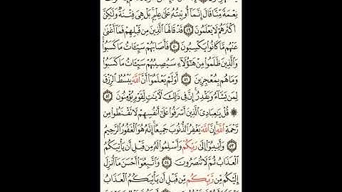 سورة الزمر الصحيفة رقم 464 بصوت المقرئ فضيلة الشيخ د.أحمد عبد الرحمن الخجا الدمشقي الشافعي 🌸 