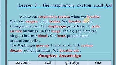UNIT 1 LESSON 3  CONNECT 4 TERM 1