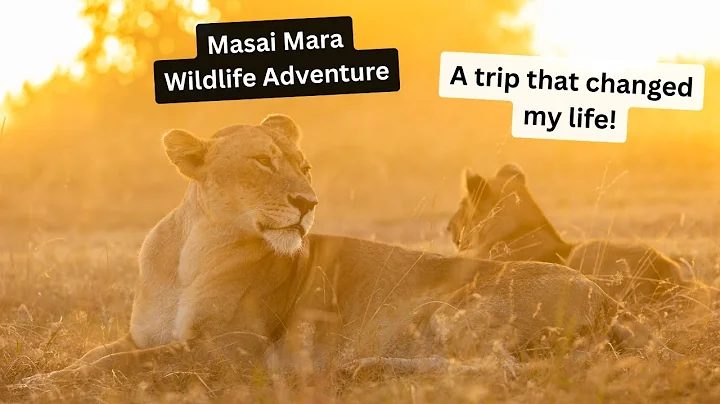 Wildlife Photography in the Masai Mara, Part 1. The Safari of a LIFETIME, a trip that changed it all