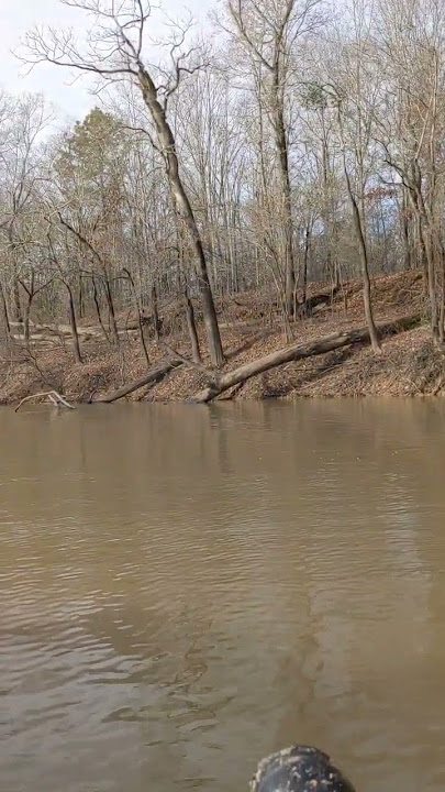 Whoop nets Ouachita river backwater 