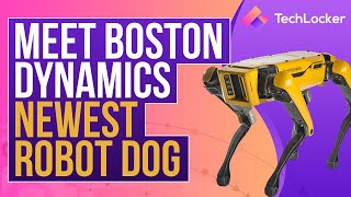 Meet Boston Dynamics Newest Robot Dog Tech Locker