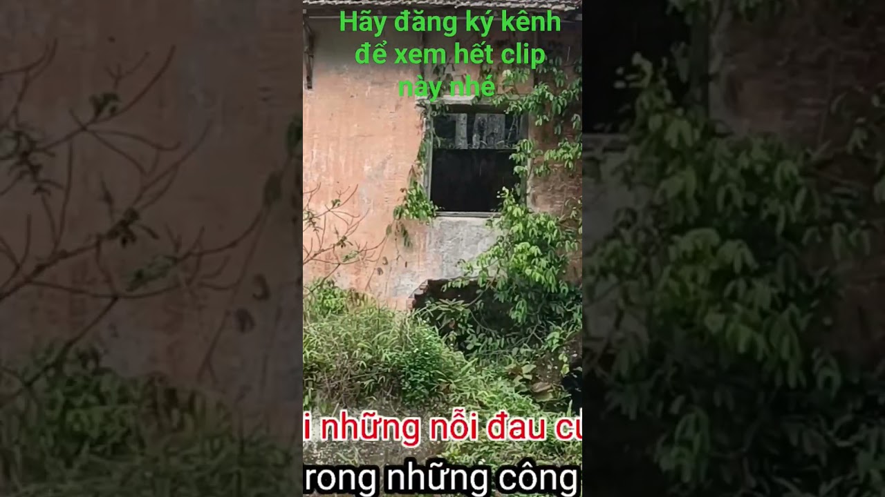 Obejrzyj từ năm 1942 .. phá trấn động cao bằng w YouTube Obejrzyj từ năm 1942 .. phá trấn động cao bằng w YouTube