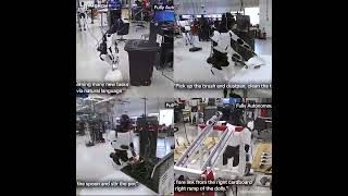 Tesla’s Optimus bot is doing household chores