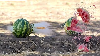 🍉💥🥥 Exploding Watermelon and Coconut Experiment: A Burst of Refreshing Science!