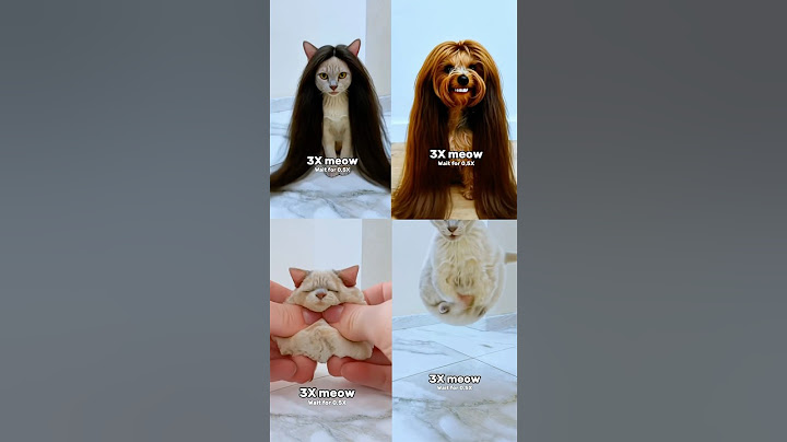 Which One Is The Best? Wait For The Last One Meow #katebrush #shorts #viral