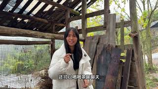 老房子的整体布局和结构，联系设计师来，包工包料还是自己买材料