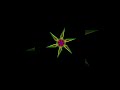 python turtle graphics design #shorts #youtubeshorts #reels @pythonshorts-yt