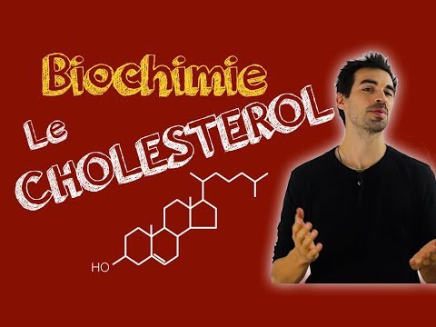 Vidéo: L'inhibition De L'activité Méthyltransférase De L'activateur De Zeste 2 Entraîne Une Accumulation Accrue De Lipides Et Une Altération De La Chromatine Chez Le Poisso