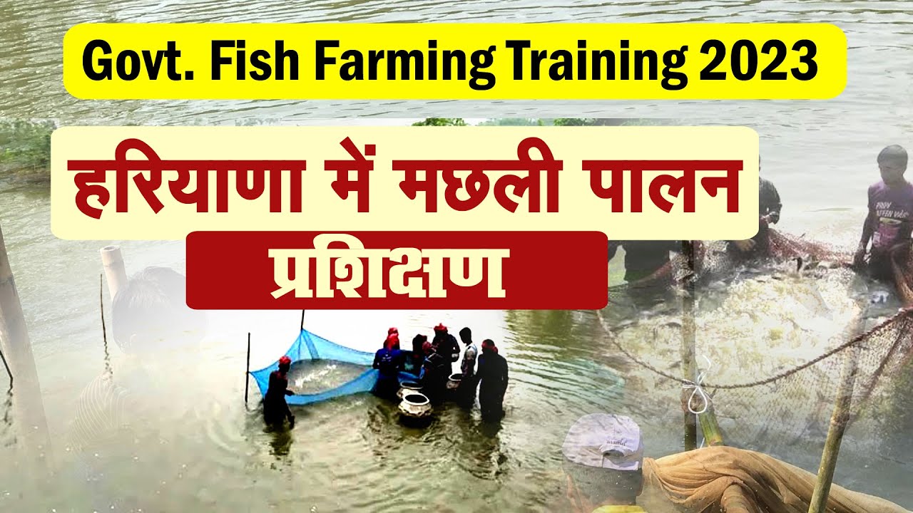 Haryana Fish Farming हरियाणा में मछली पालन प्रशिक्षण Fish Farming