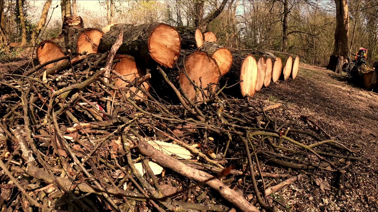 Crane park(hanworth)