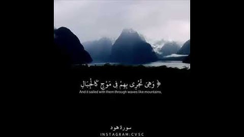 سورة هود  للقارئ صلاح المصلي