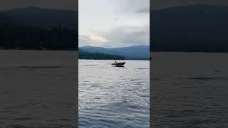 IMG 3297