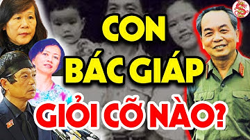 Tiết Lộ Sự Nghiệp KHỦNG Của 5 Người Con Đại Tướng Võ Nguyên Giáp - Việt Sử Toàn Thư