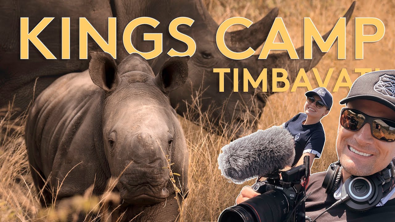 KINGS CAMP и сохранение носорогов в ТИМБАВАТИ — финал «Затерянные в Крюгере» в 4K