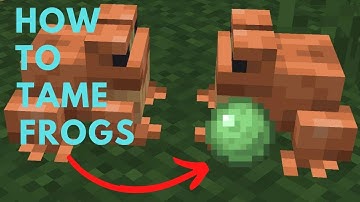 How To Breed Frogs In Minecraft (Bedrock & Java)