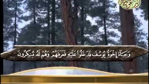 الشيخ سلامة عبدالحميد سورة يوسف