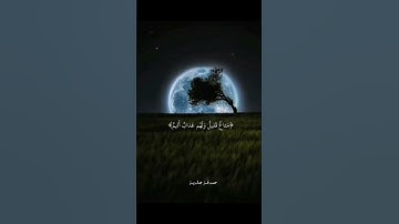 الشيخ عبدالولي الأركاني || آيات من سورة النحل