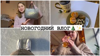 Новогодний Влог🤍Подарки || Катаюсь На Коньках⛸️