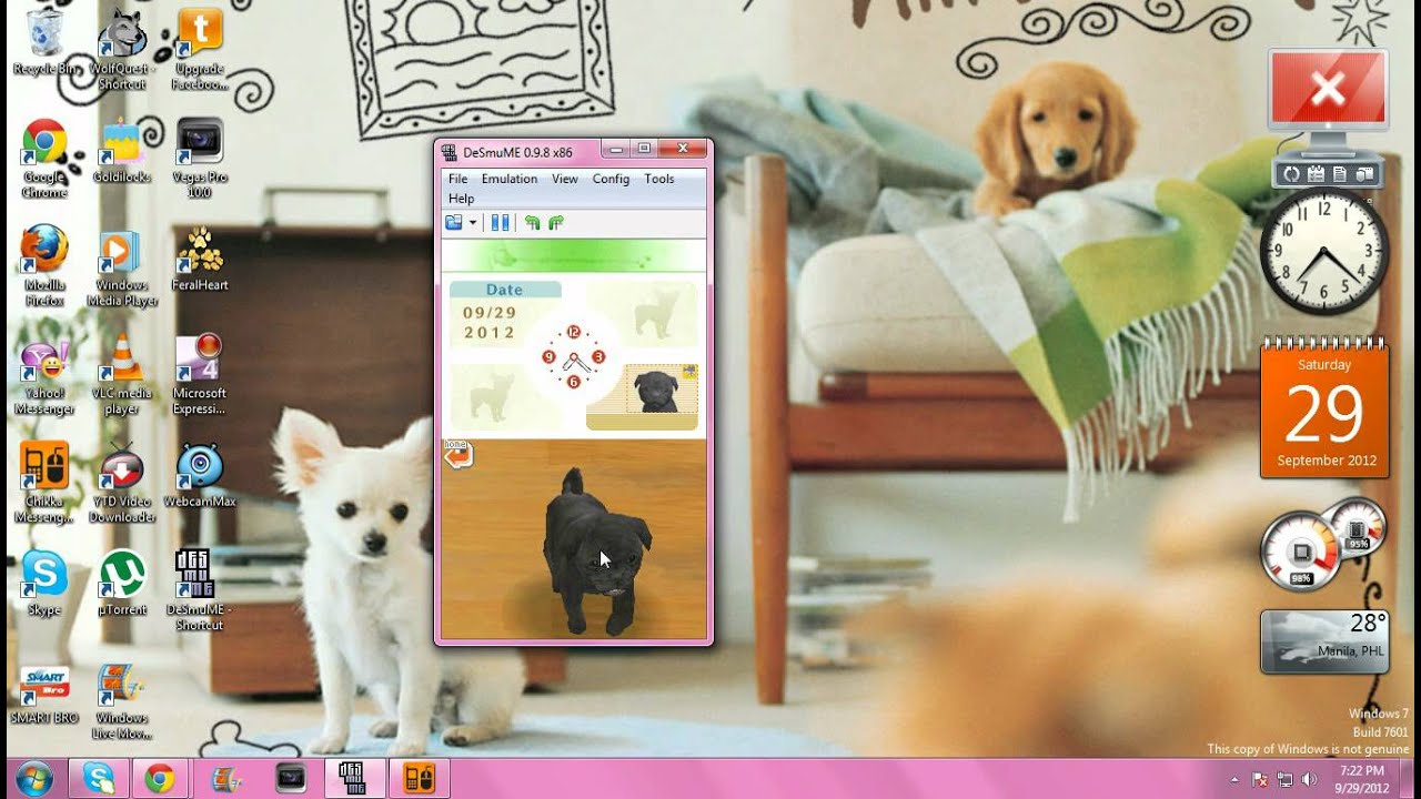 nintendogs computer