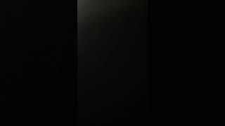 IMG 4119