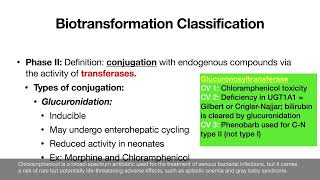 4 8 المرحلة الثانية من الإستقلاب   Glucuronidation