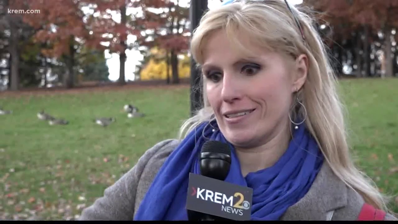 Two large buildings to overlook Spokane Falls