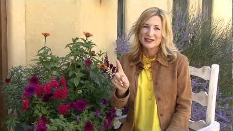 Reinvent Yourself: Strongly Articulate Your Value - Vook