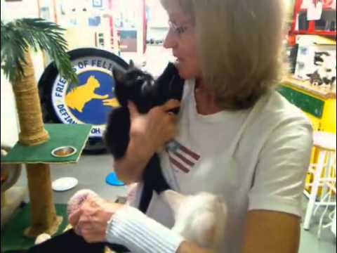 cage free vs organic eggs Cheri 7 7 2013