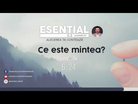 Video: Ce este mintea respectuoasă?