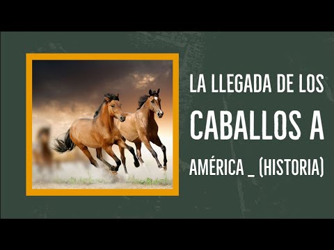 Video: ¿Los caballos vinieron de América?