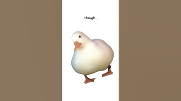 ADHD (explained by ducks)