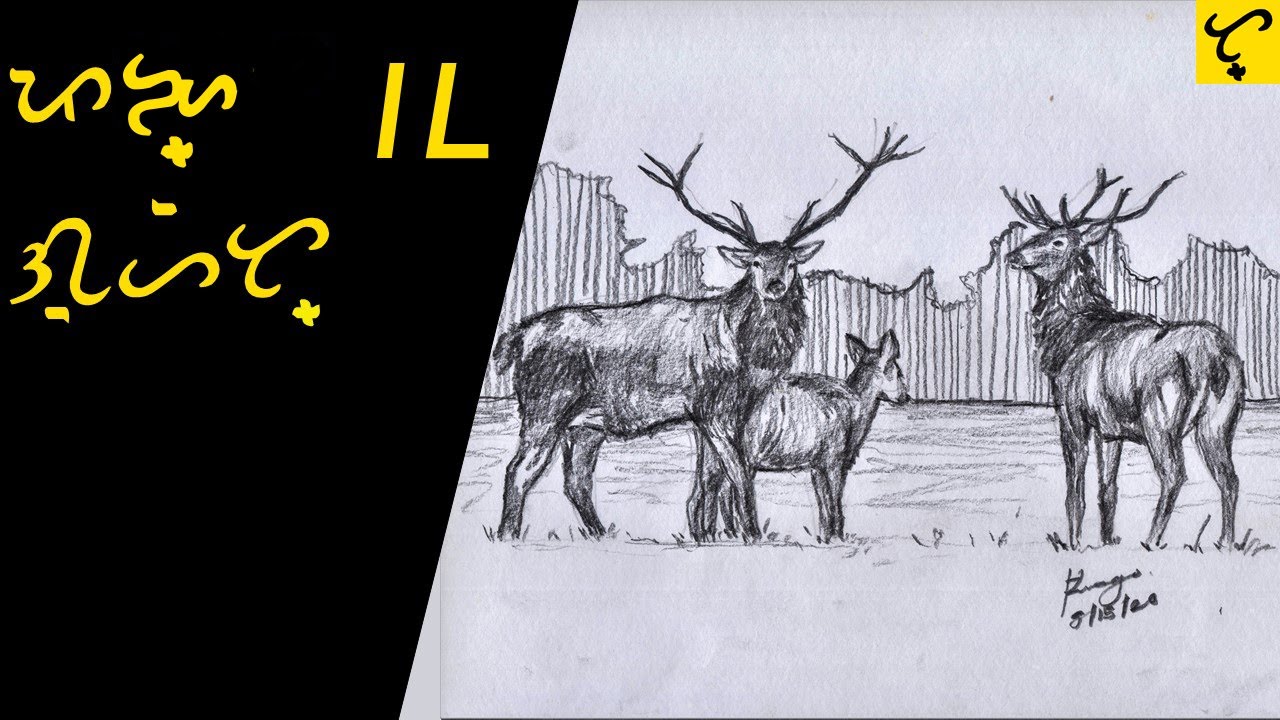 How to draw a Reindeer- Drawing lessons for BeginnersAnimal Drawing