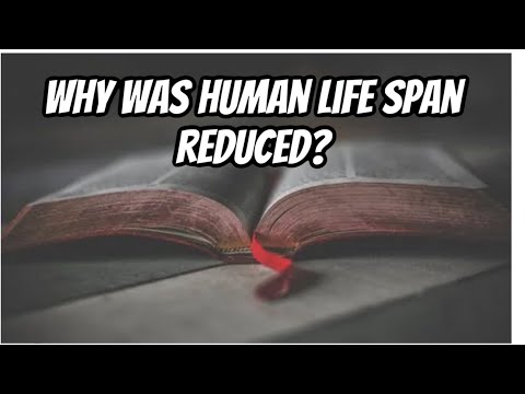 Why was Humans