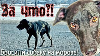 видео: 💔Купили картинка: 💔Купили