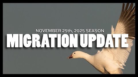 On the Move | November 25th, 2025: Waterfowl Migration Update | Pt. 4