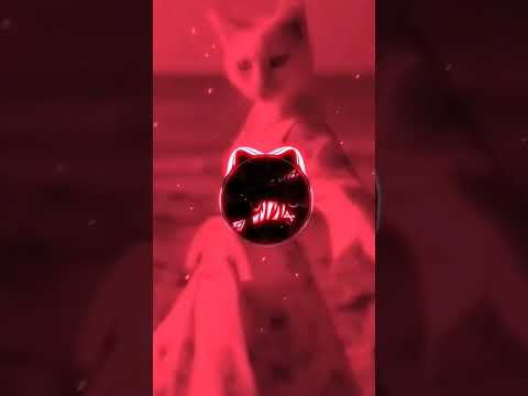 تصميم وخدة القلب و العين