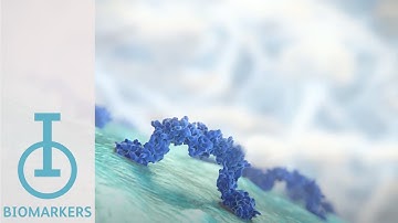 IOU Youtube: LAG-3: Investigation as an IO biomarker