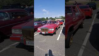 Nothing like a Cool cars and nature