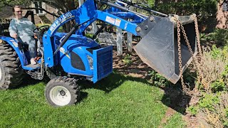 Using Our New Holland Workmaster 40 Compact Tractor to Pull Boxwood Bushes - It's a Back Saver!