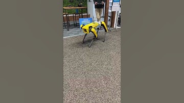 Robot Dance #robot #bostondynamics #future #technology #robotdog #tech #robots