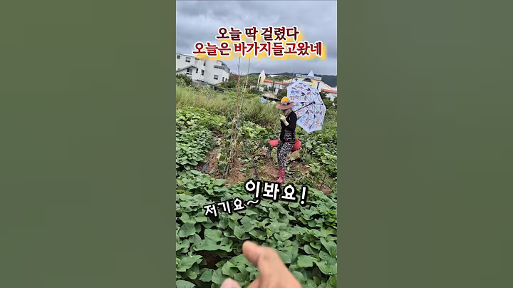 이봐요~오늘은 안봐줍니다!! #시골생활 #시골 #도둑