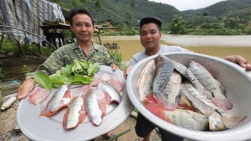 GỎI CÁ RÔ SIÊU NGON | Nhịp Sống Tây Bắc