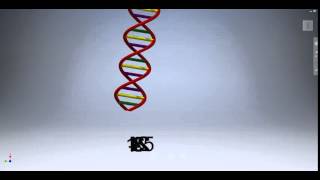 DNA reversal permutation