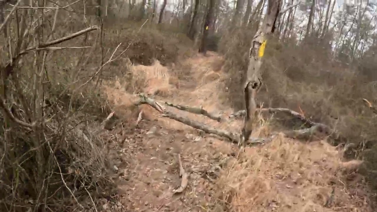 Hiking- Goat Trail/ Serpentine Barrens/Wild Plant Sanctuary- William Penn Forest, PA