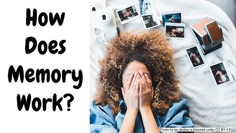 The Atkinson-Shiffrin Model of Memory: An Introduction