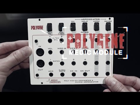 Analogue Solutions Polygene Poly MIDI converter Eurorack Module Teaser