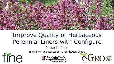 Improve the Quality of Herbaceous Perennial Liners...