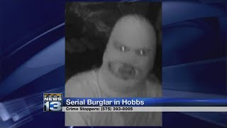 Hobbs Police search for serial burglar