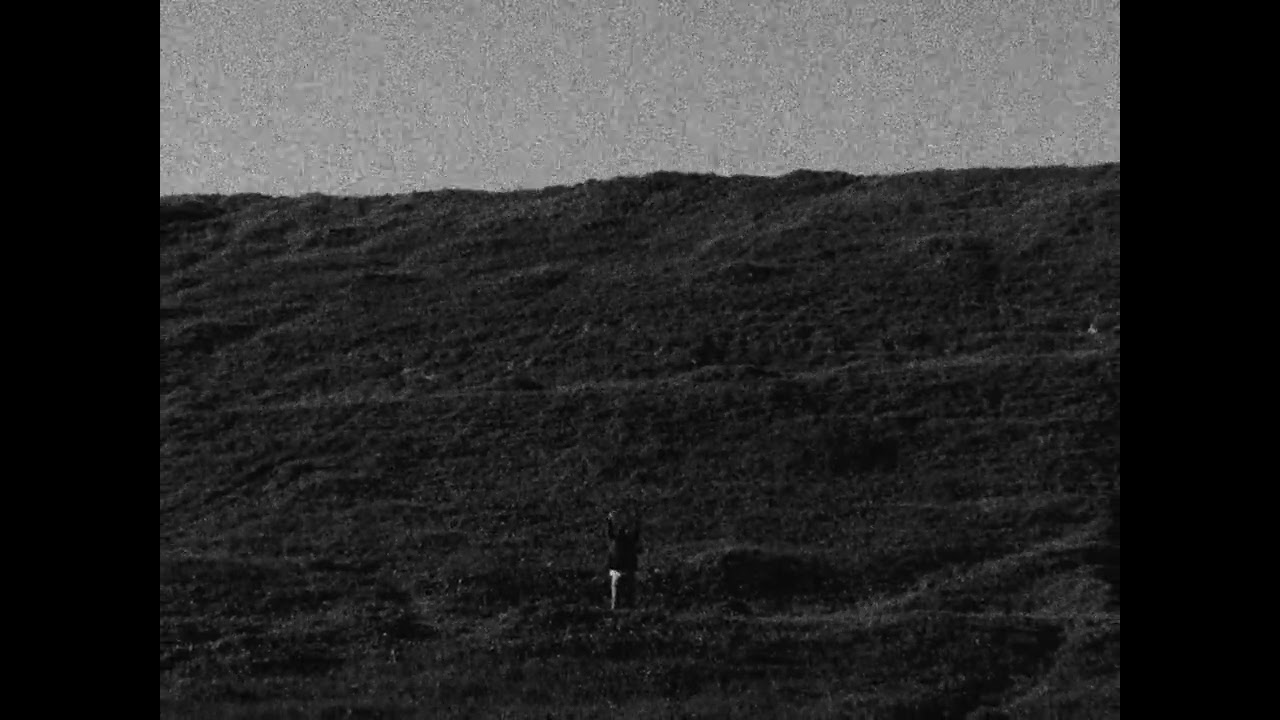 Sherry Fino - El jardín (Visual Oficial)