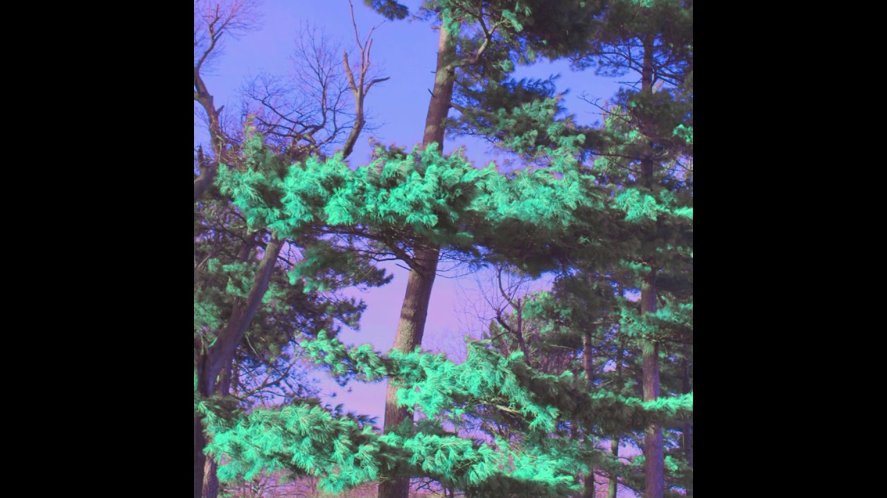 [FREE] TAME IMPALA X MGMT TYPE BEAT "WANDERING"